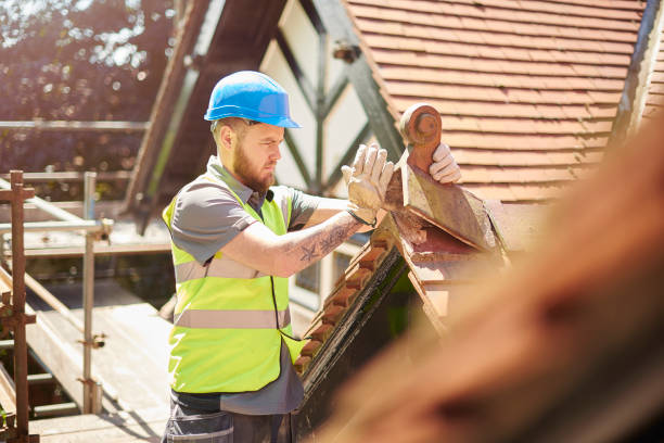 Best Roof Leak Repair  in Strawberry Plains, TN