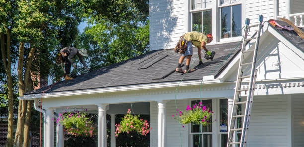 Best Roof Maintenance Services  in Strawberry Plains, TN
