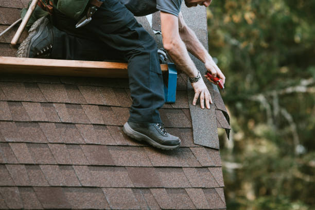 Best Roof Maintenance Services  in Strawberry Plains, TN